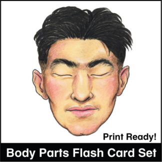 Body Parts Flash Cards, Kinney Brothers Publishing