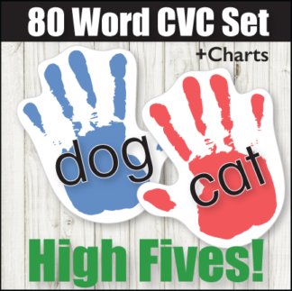 High-Five CVC Word Flash Cards, Kinney Brothers Publishing
